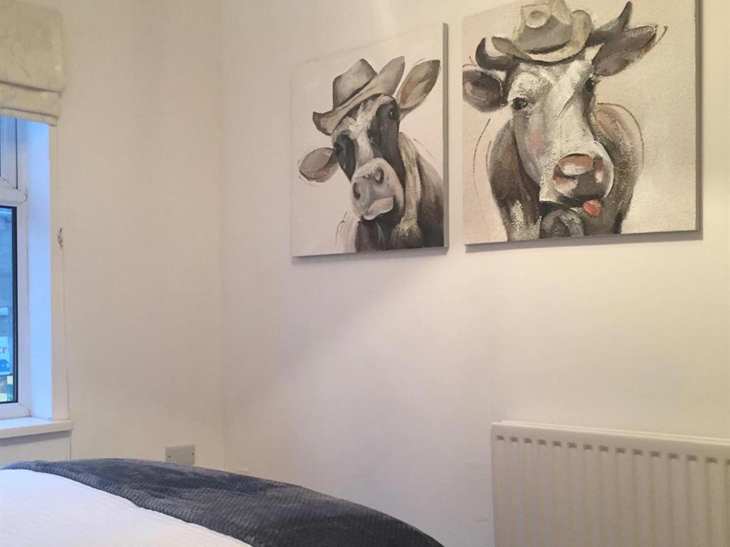 Durham Serviced Properties - The Sanctuary Kamer foto